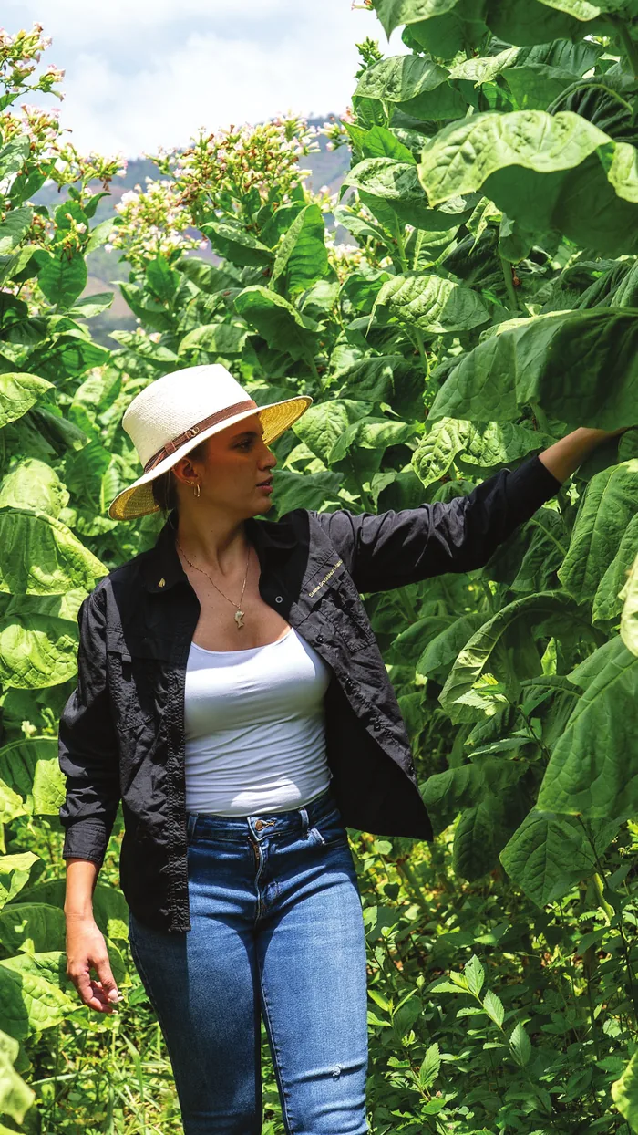 Susana González Martínez among tobacco plants, wearing a white hat